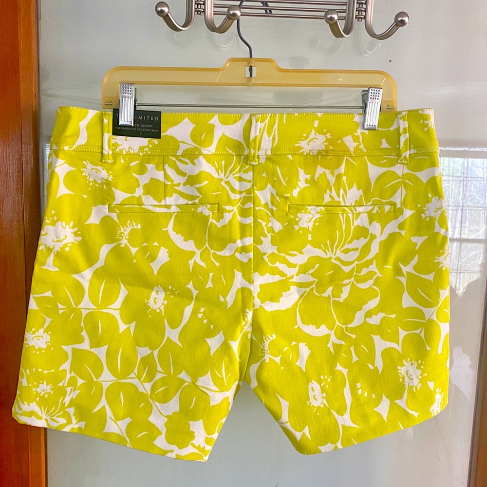 🌴THE LIMITED🌴 CHARTREUSE TAILORED STRETCH SHORTS NWT💚 - Picture 2 of 6